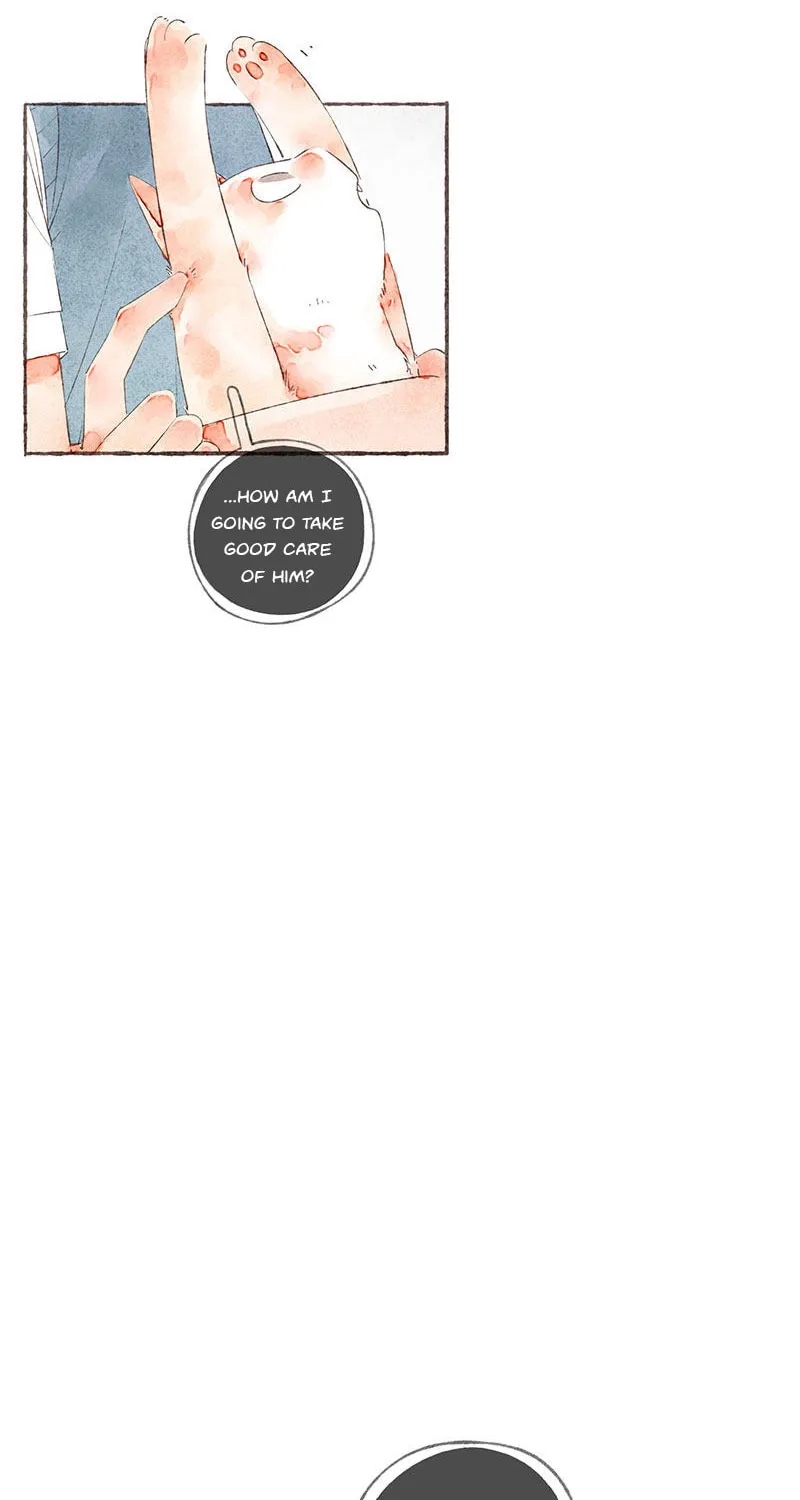 Read Starting With a Lie (Colored) chapter 23 image 40 on Lezhin