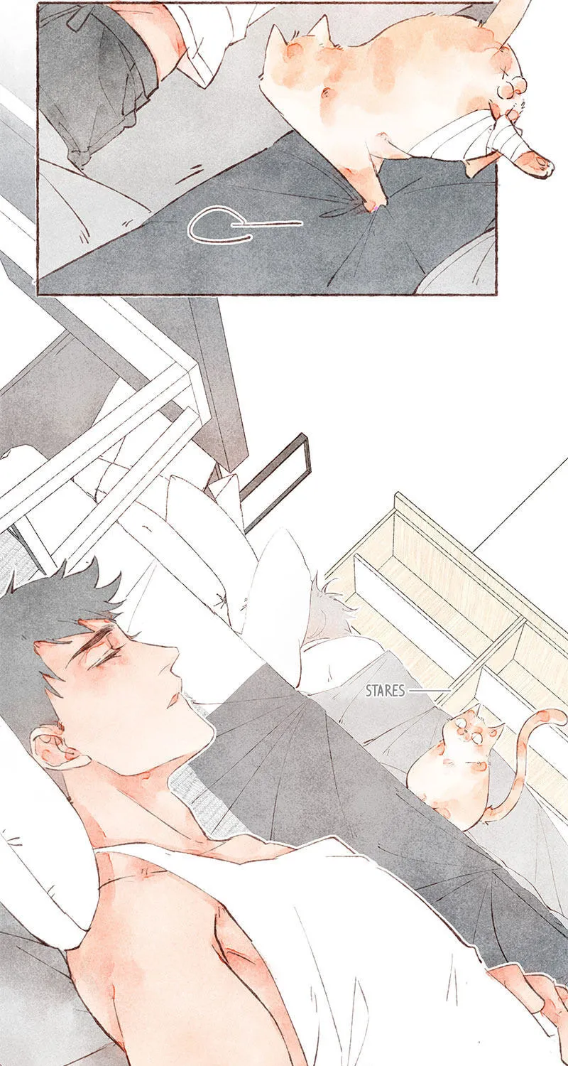 Read Starting With a Lie (Colored) chapter 23 image 8 on Lezhin