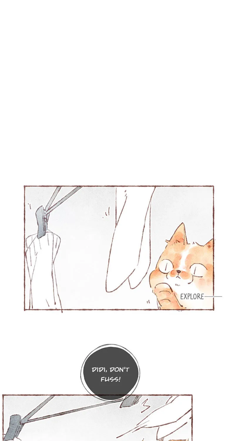 Read Starting With a Lie (Colored) chapter 33 image 17 on Lezhin