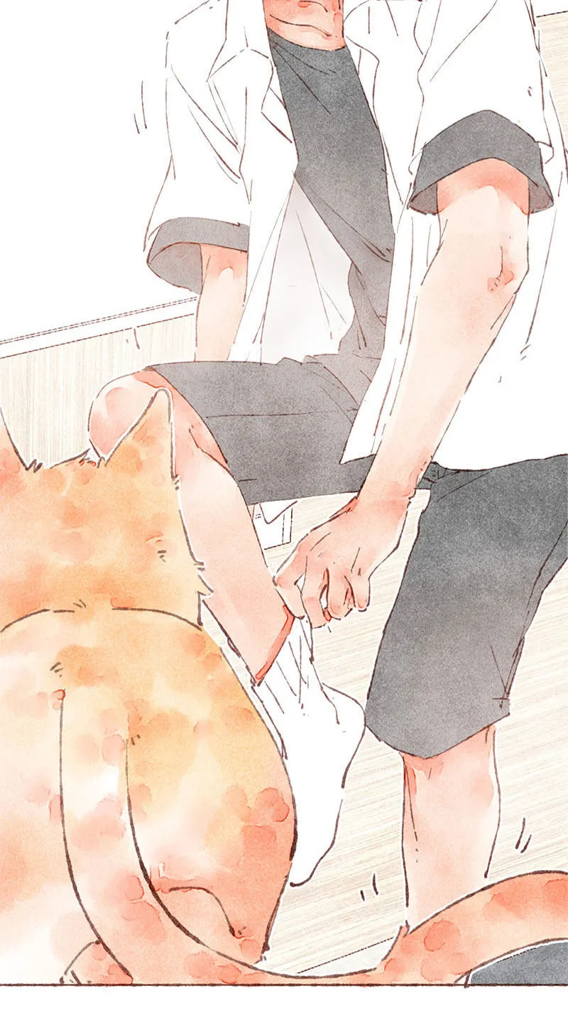 Read Starting With a Lie (Colored) chapter 33 image 19 on Lezhin