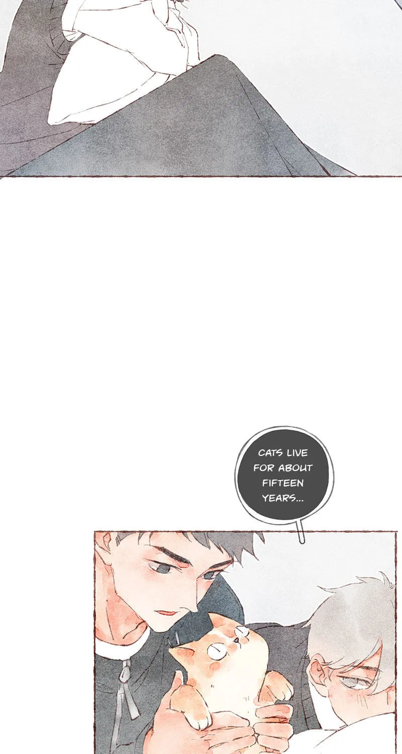 Read Starting With a Lie (Colored) chapter 36 image 6 on Lezhin