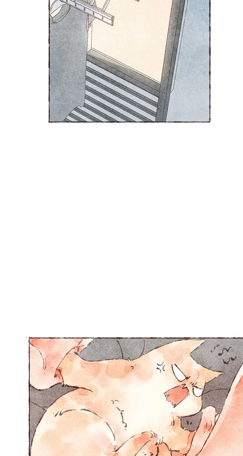 Read Starting With a Lie (Colored) chapter 37 image 39 on Lezhin