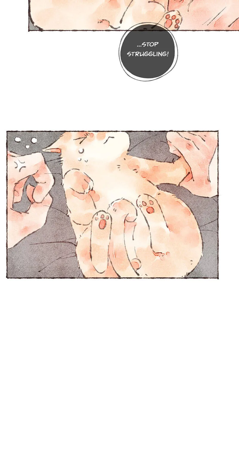 Read Starting With a Lie (Colored) chapter 37 image 40 on Lezhin