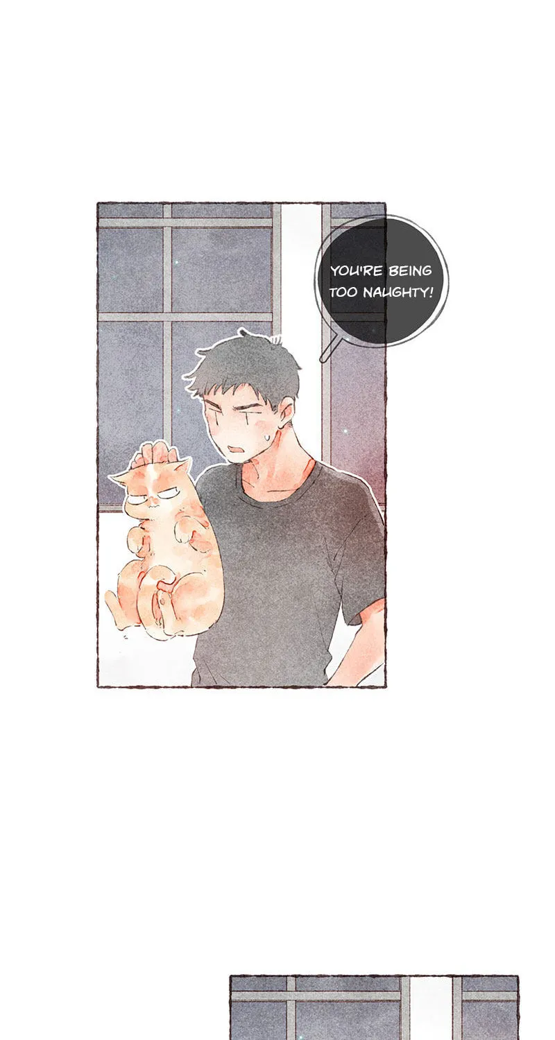 Read Starting With a Lie (Colored) chapter 37 image 41 on Lezhin