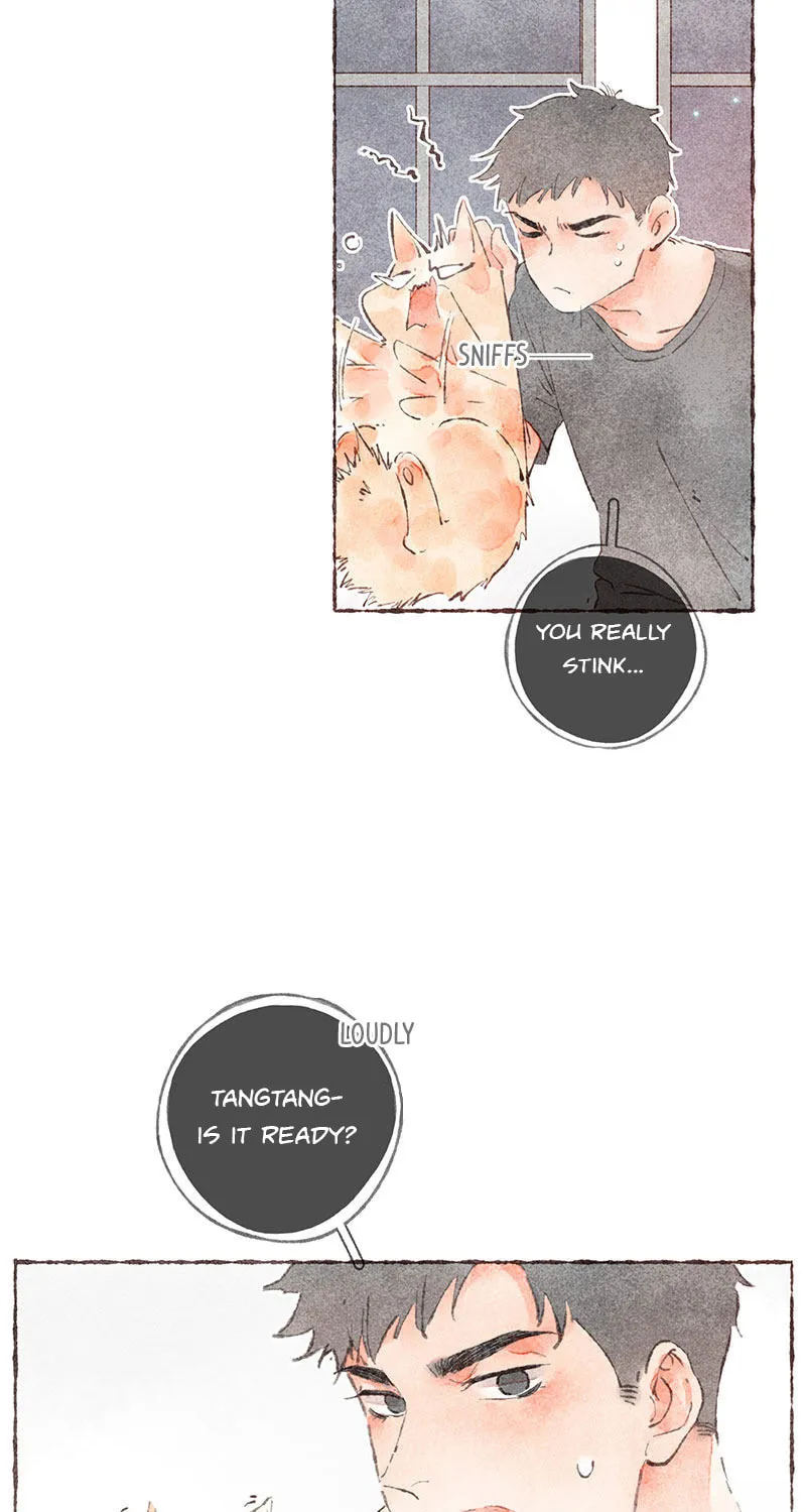 Read Starting With a Lie (Colored) chapter 37 image 42 on Lezhin