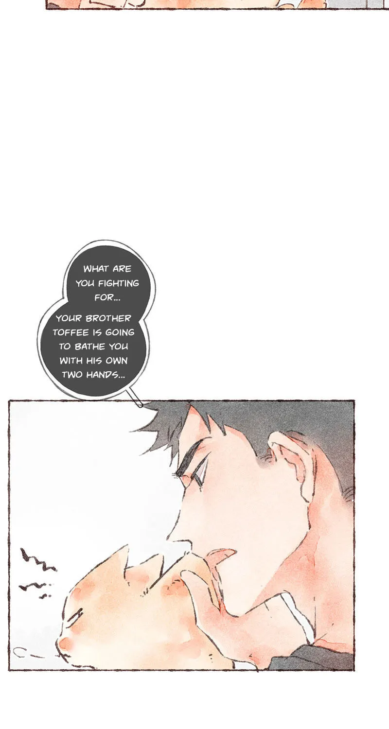 Read Starting With a Lie (Colored) chapter 37 image 44 on Lezhin