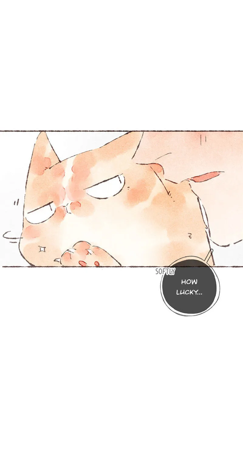 Read Starting With a Lie (Colored) chapter 37 image 45 on Lezhin