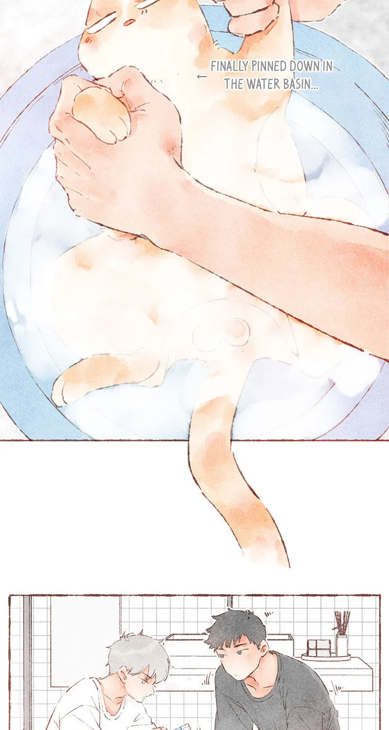 Read Starting With a Lie (Colored) chapter 38 image 20 on Lezhin