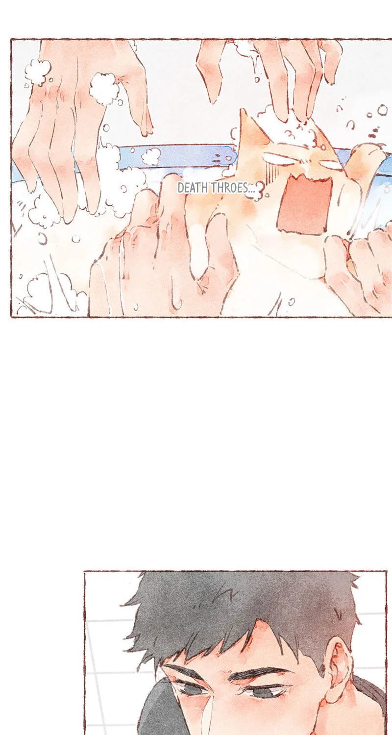 Read Starting With a Lie (Colored) chapter 38 image 24 on Lezhin