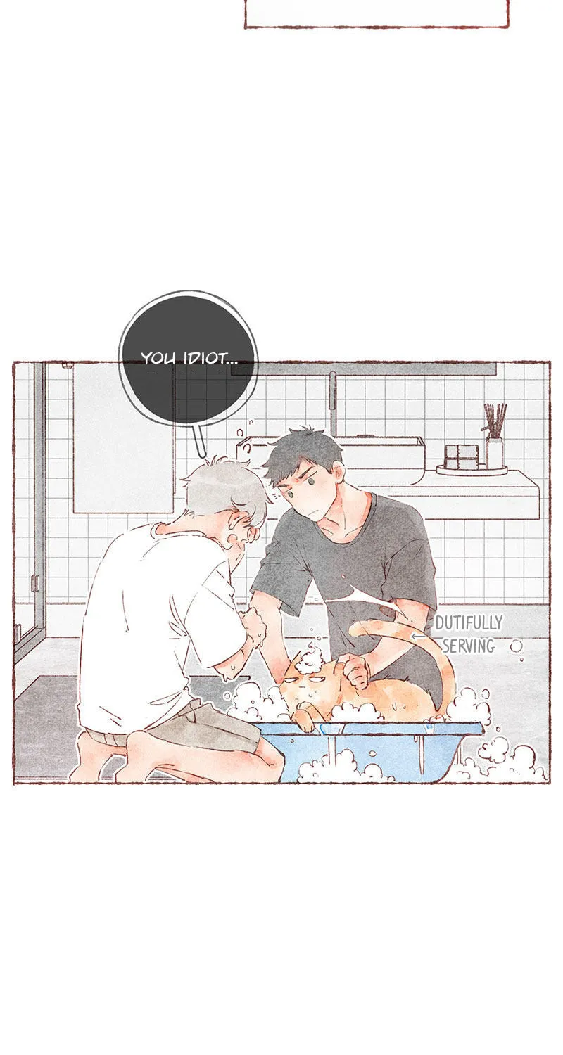 Read Starting With a Lie (Colored) chapter 38 image 32 on Lezhin