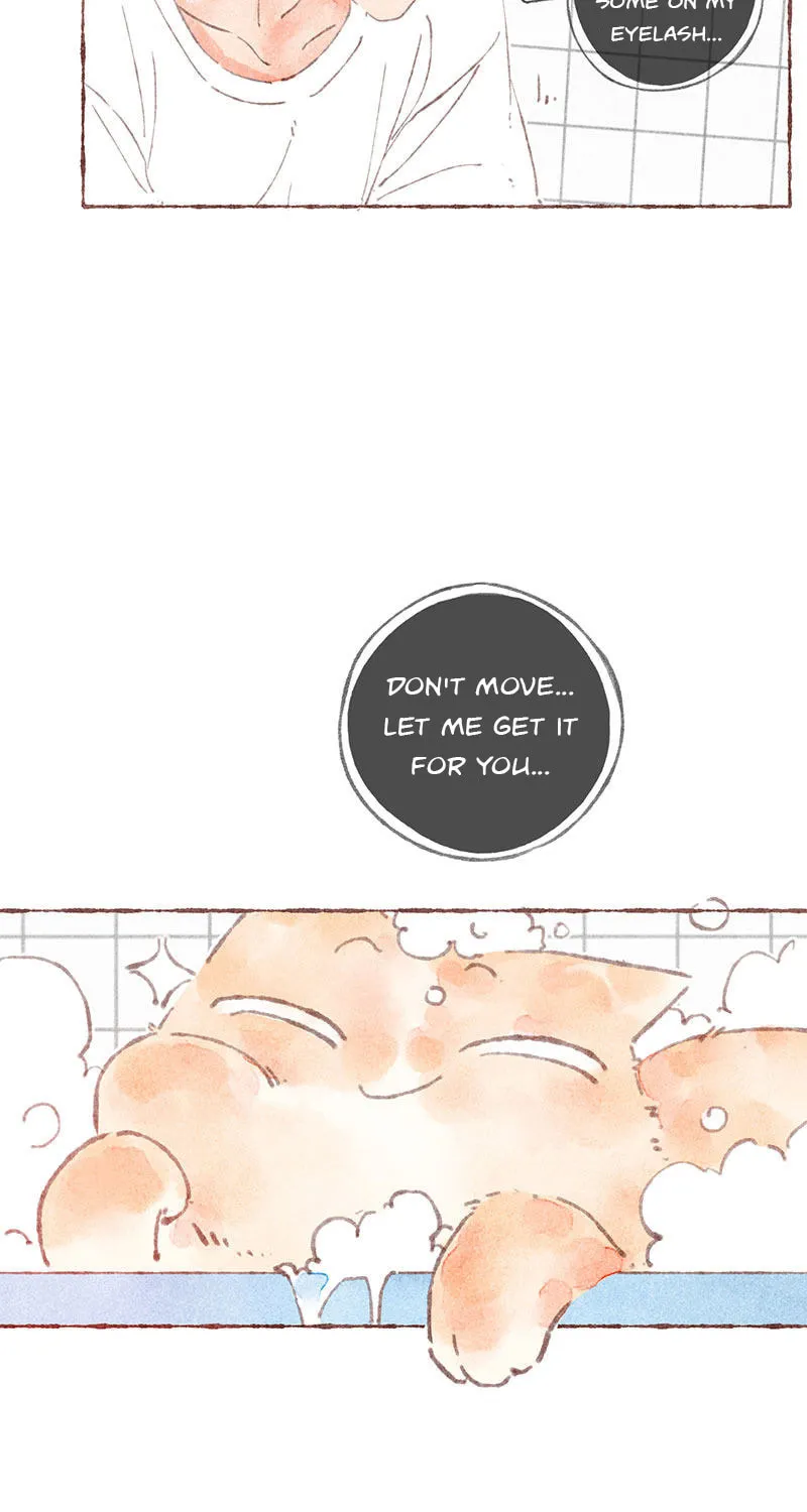Read Starting With a Lie (Colored) chapter 38 image 42 on Lezhin