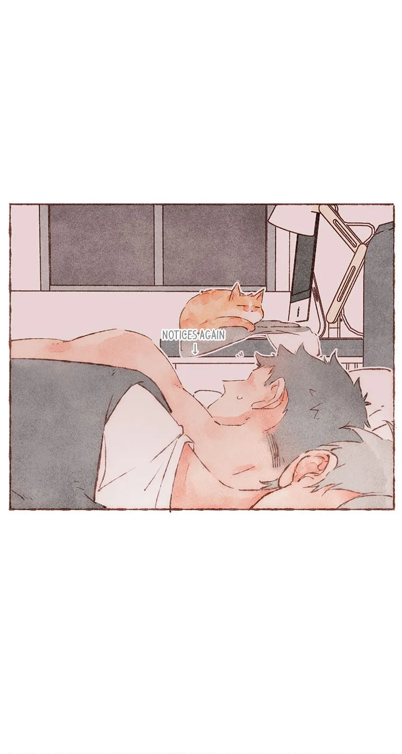 Read Starting With a Lie (Colored) chapter 44 image 35 on Lezhin