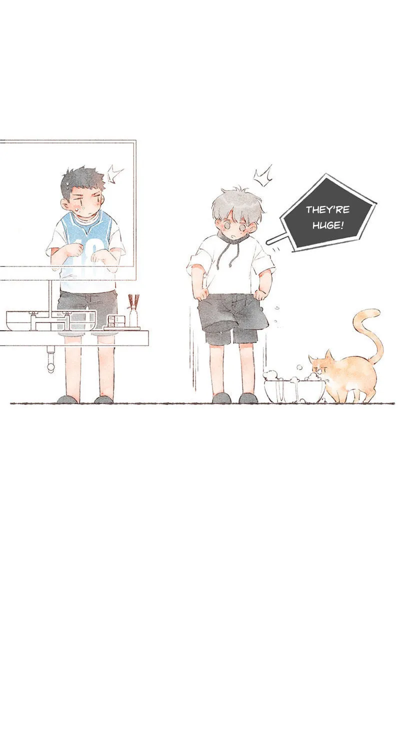 Read Starting With a Lie (Colored) chapter 48 image 17 on Lezhin
