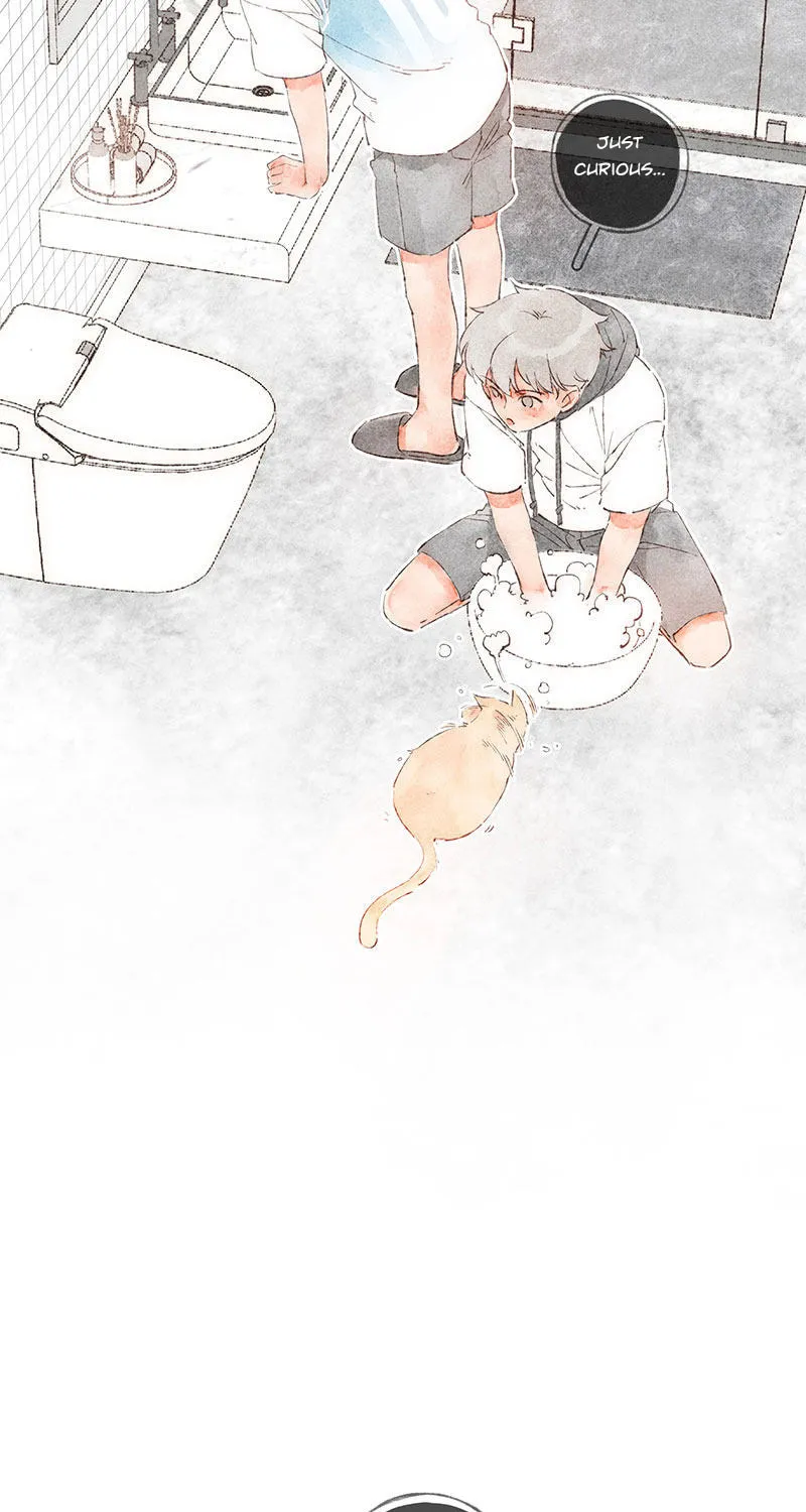 Read Starting With a Lie (Colored) chapter 48 image 4 on Lezhin