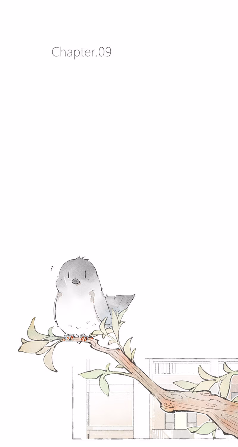 Read Starting With a Lie chapter 9 image 6 on Lezhin