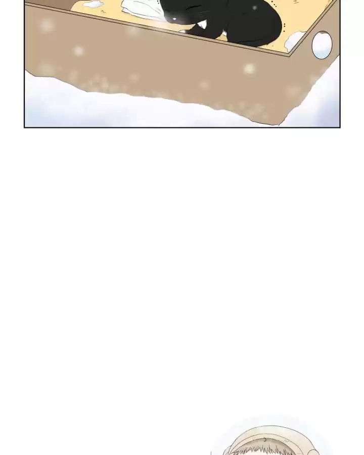 Read Starts From Baby chapter 71.01 image 70 on Lezhin