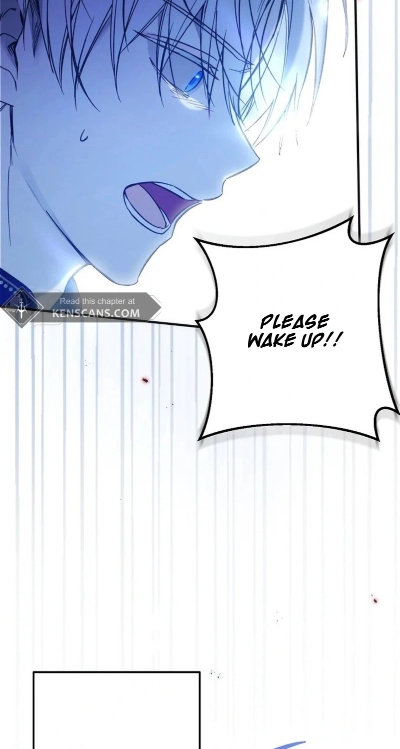 Status Chapter 1 page 115 - 