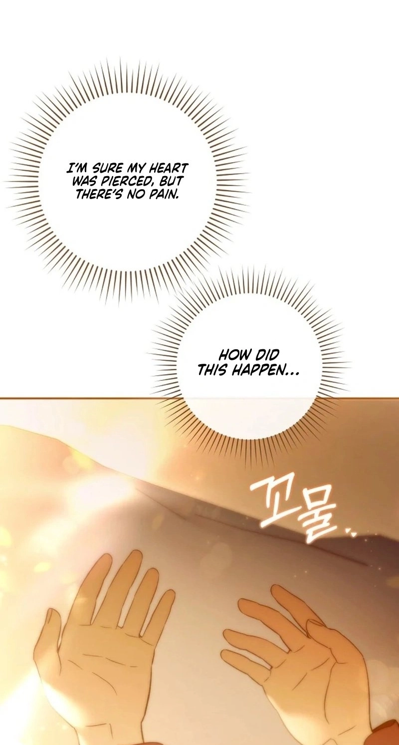 Status Chapter 2 page 9 - 