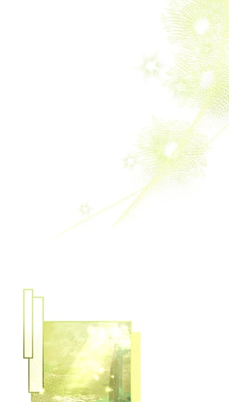 Status Chapter 4 page 65 - 
