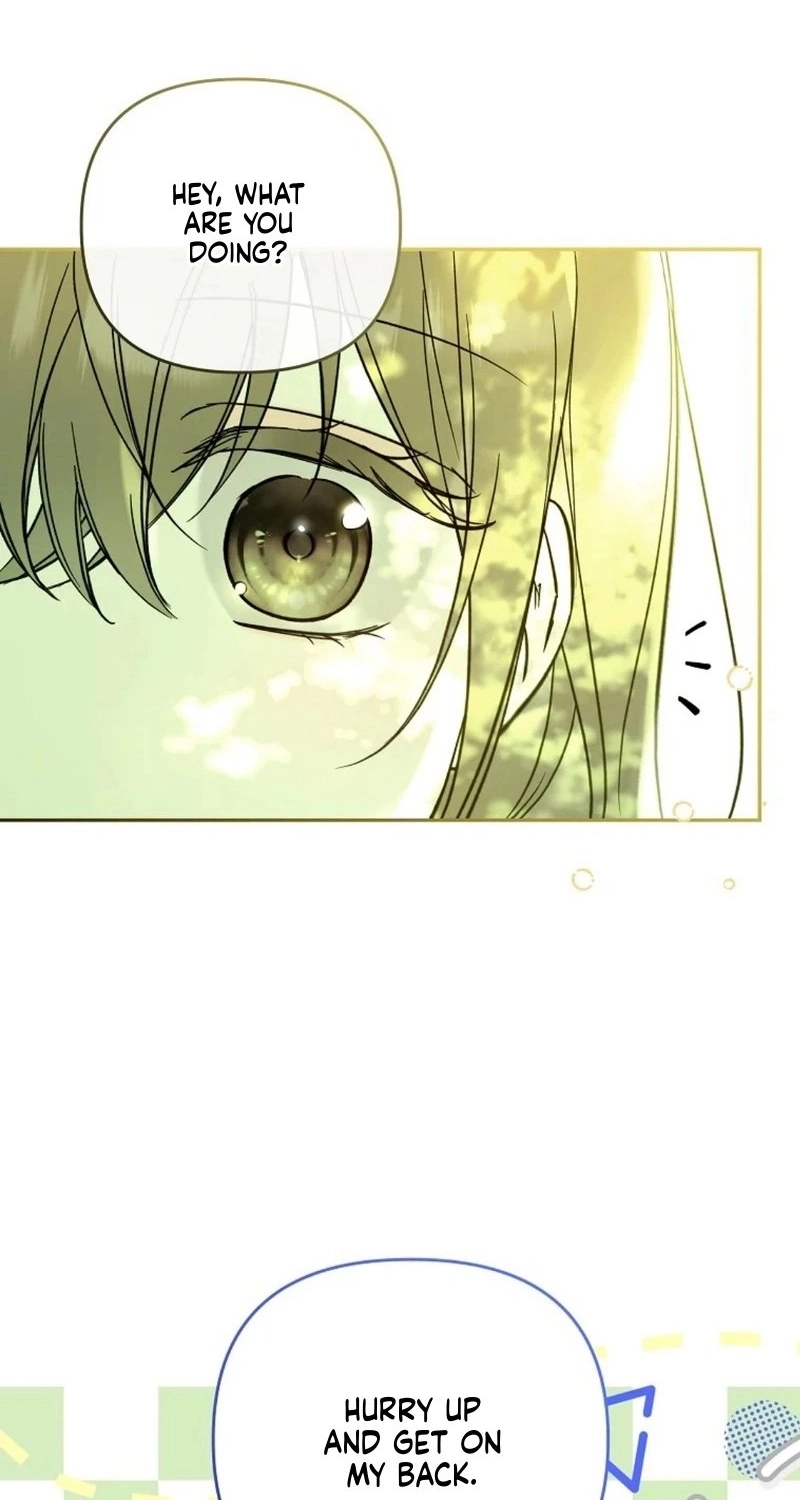 Status Chapter 4 page 77 - 