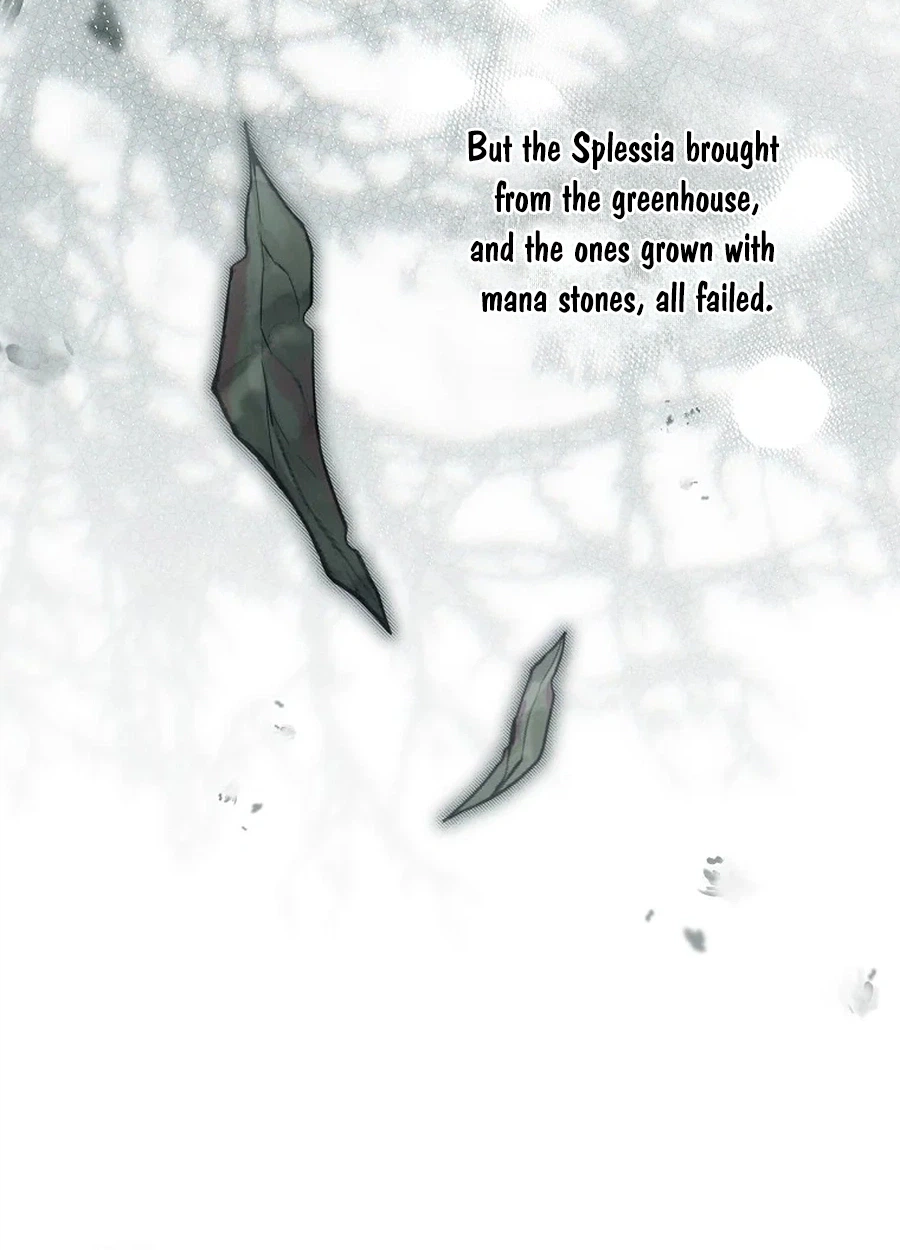 Status Chapter 54 page 38 - 