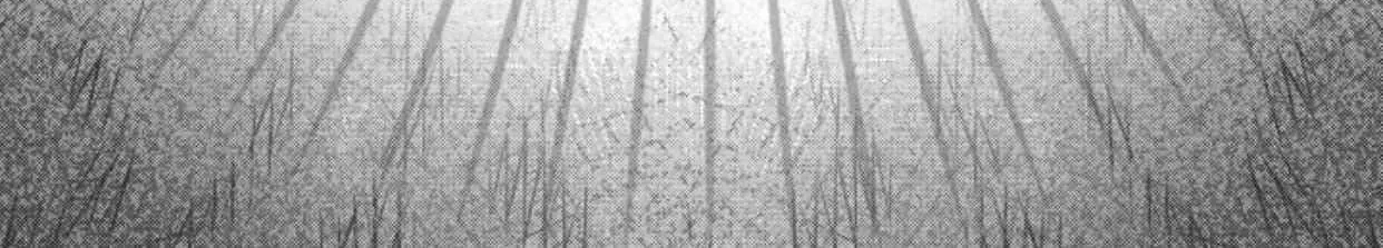 Read Stigmata chapter 113 image 20 on Lezhin