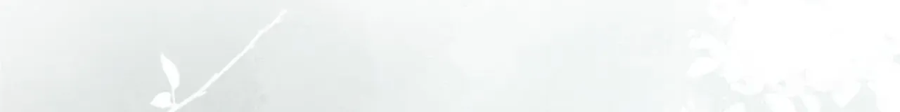 Read Still, It Rains chapter 27 image 95 on Lezhin