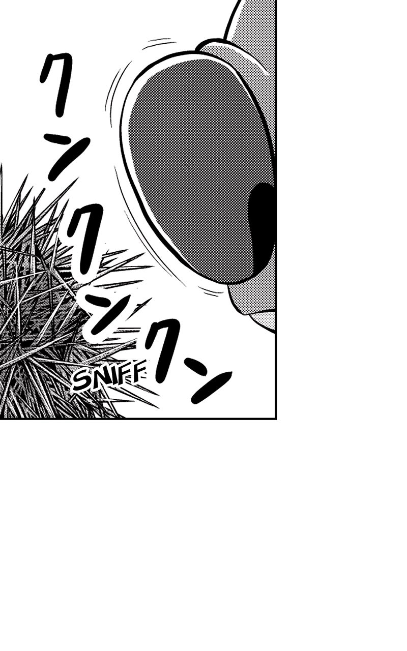 Read Stitch & the Samurai chapter 11 image 34 on Lezhin
