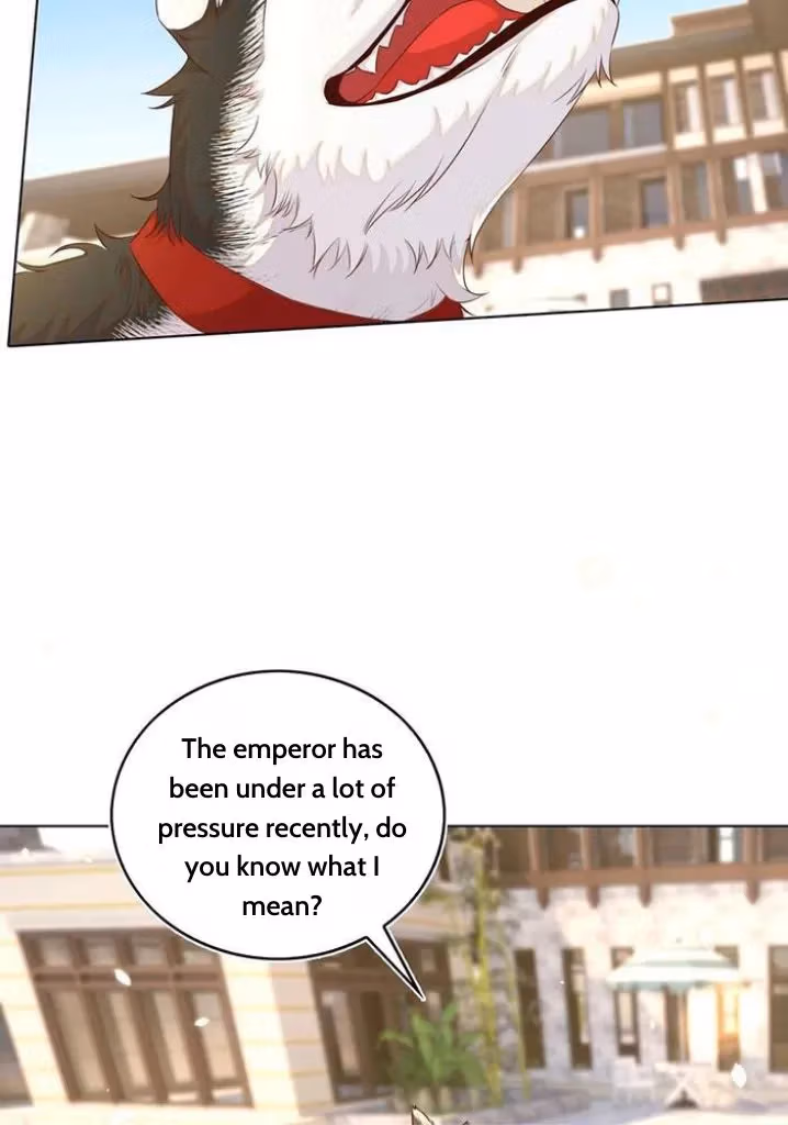 Read Stop Bothering Me, Emperor! chapter 101 image 50 on Lezhin