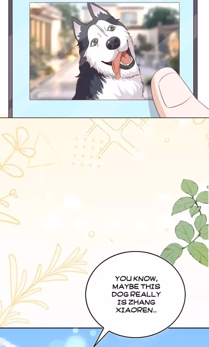 Read Stop Bothering Me, Emperor! chapter 130 image 6 on Lezhin