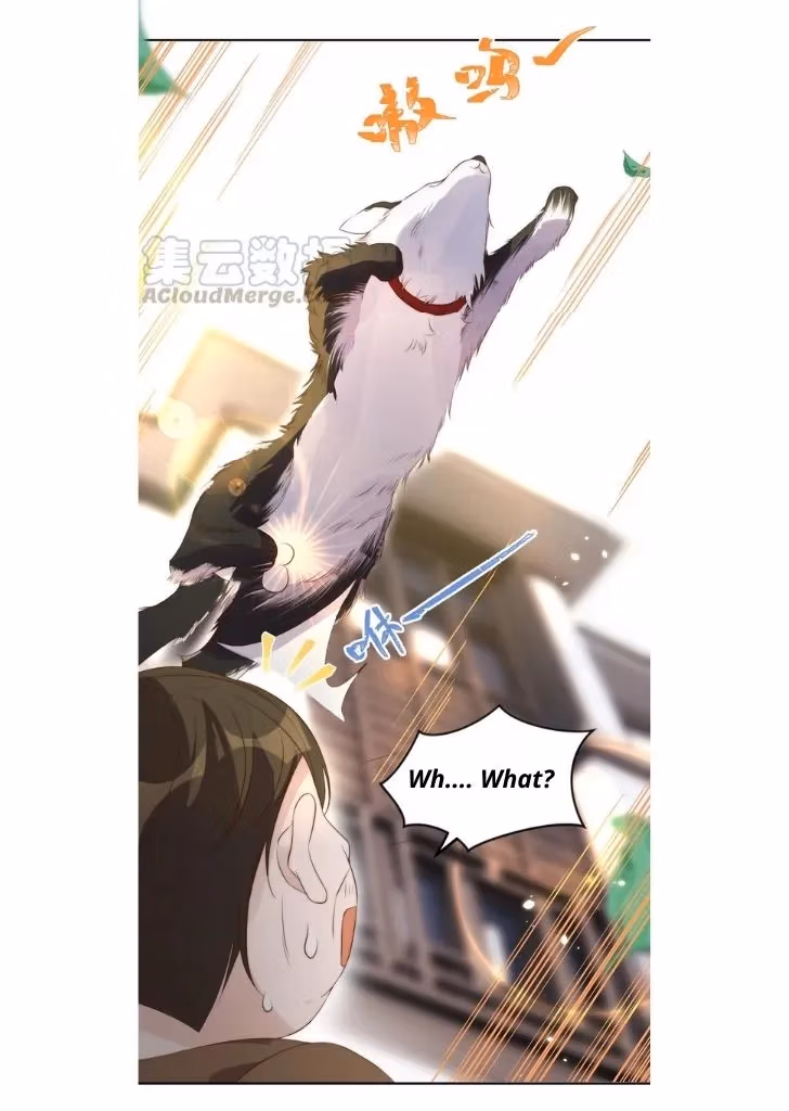 Read Stop Bothering Me, Emperor! chapter 29 image 39 on Lezhin