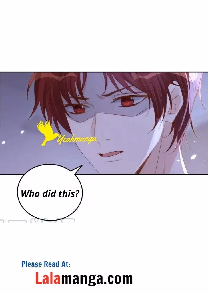 Read Stop Bothering Me, Emperor! chapter 32 image 17 on Lezhin