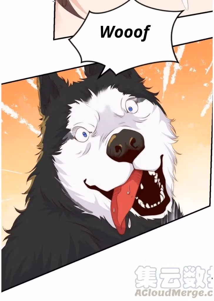 Read Stop Bothering Me, Emperor! chapter 40 image 28 on Lezhin