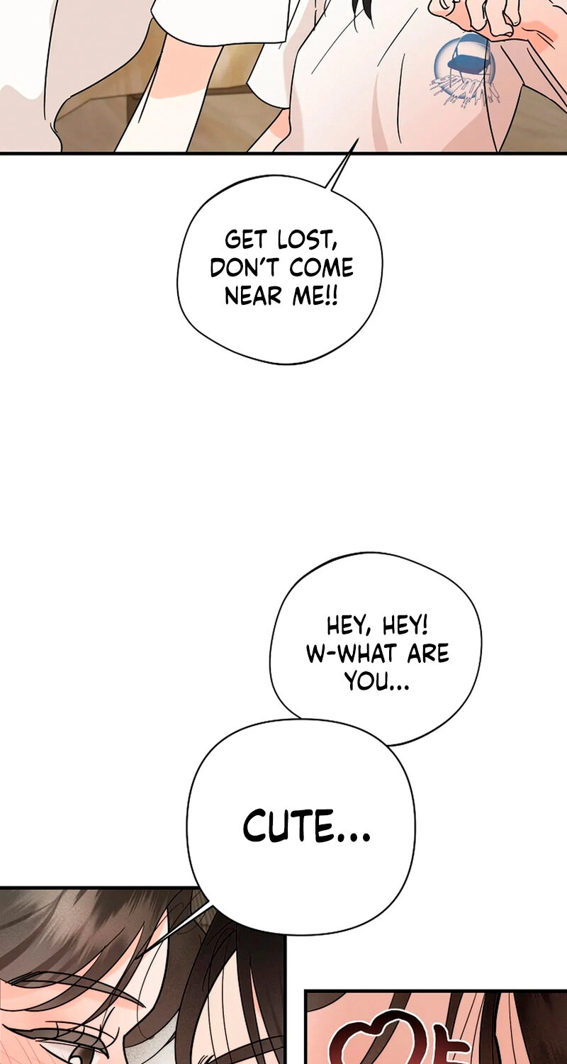 Read Stop Fighting, Go to Bed chapter 12 image 33 on Lezhin