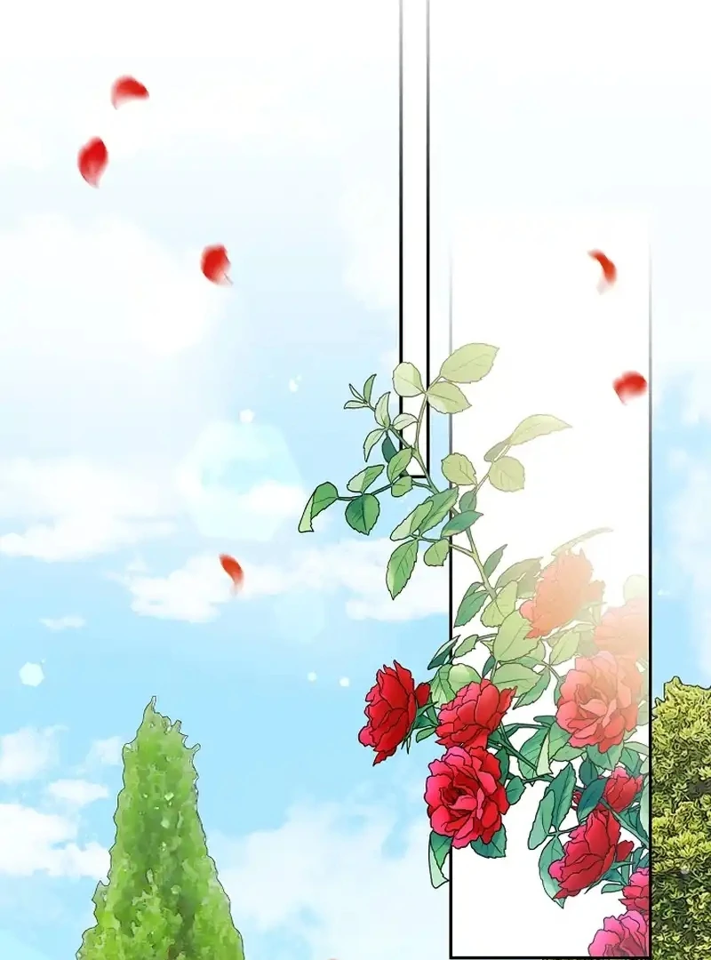 Read Stop Obsessing, Just Divorce Me! chapter 14 image 83 on Lezhin