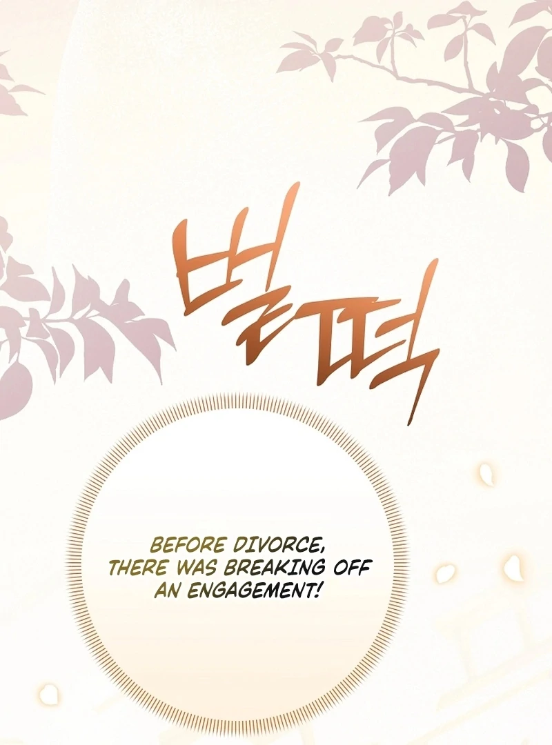 Read Stop Obsessing, Just Divorce Me! chapter 16 image 18 on Lezhin