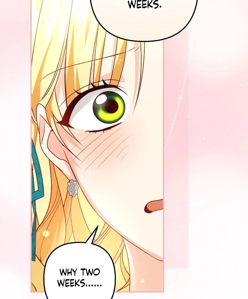 Read Stop Obsessing, Just Divorce Me! chapter 16 image 78 on Lezhin