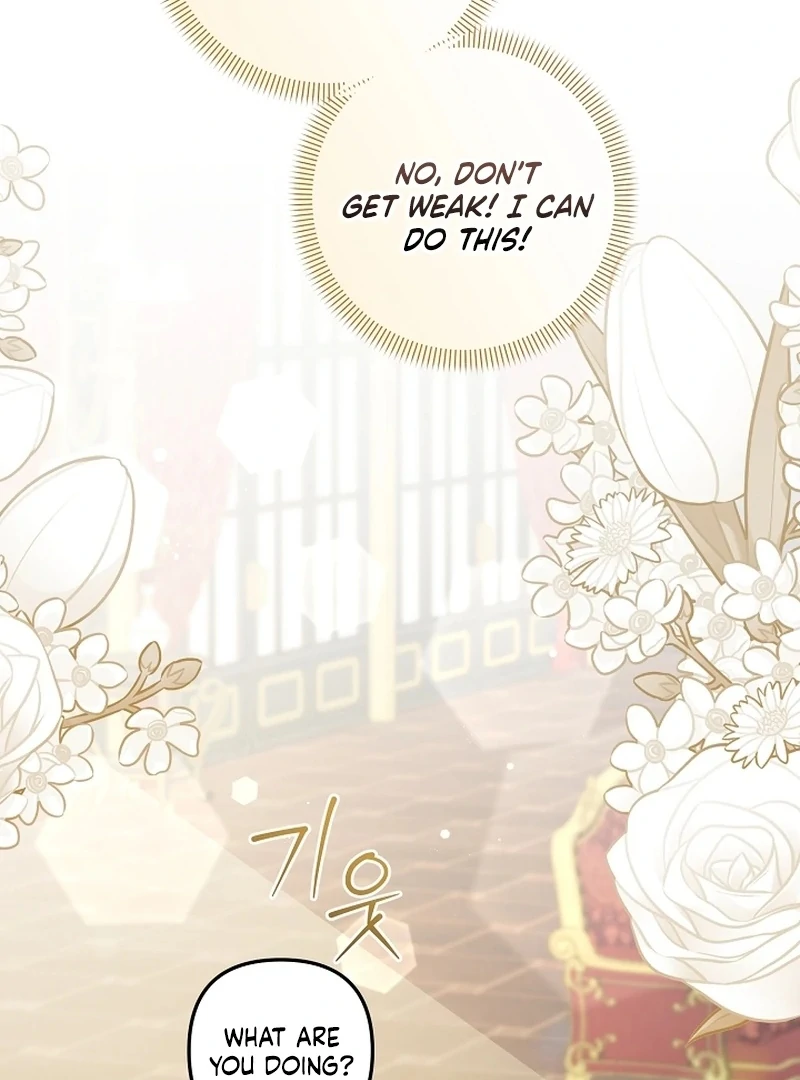 Read Stop Obsessing, Just Divorce Me! chapter 17 image 35 on Lezhin
