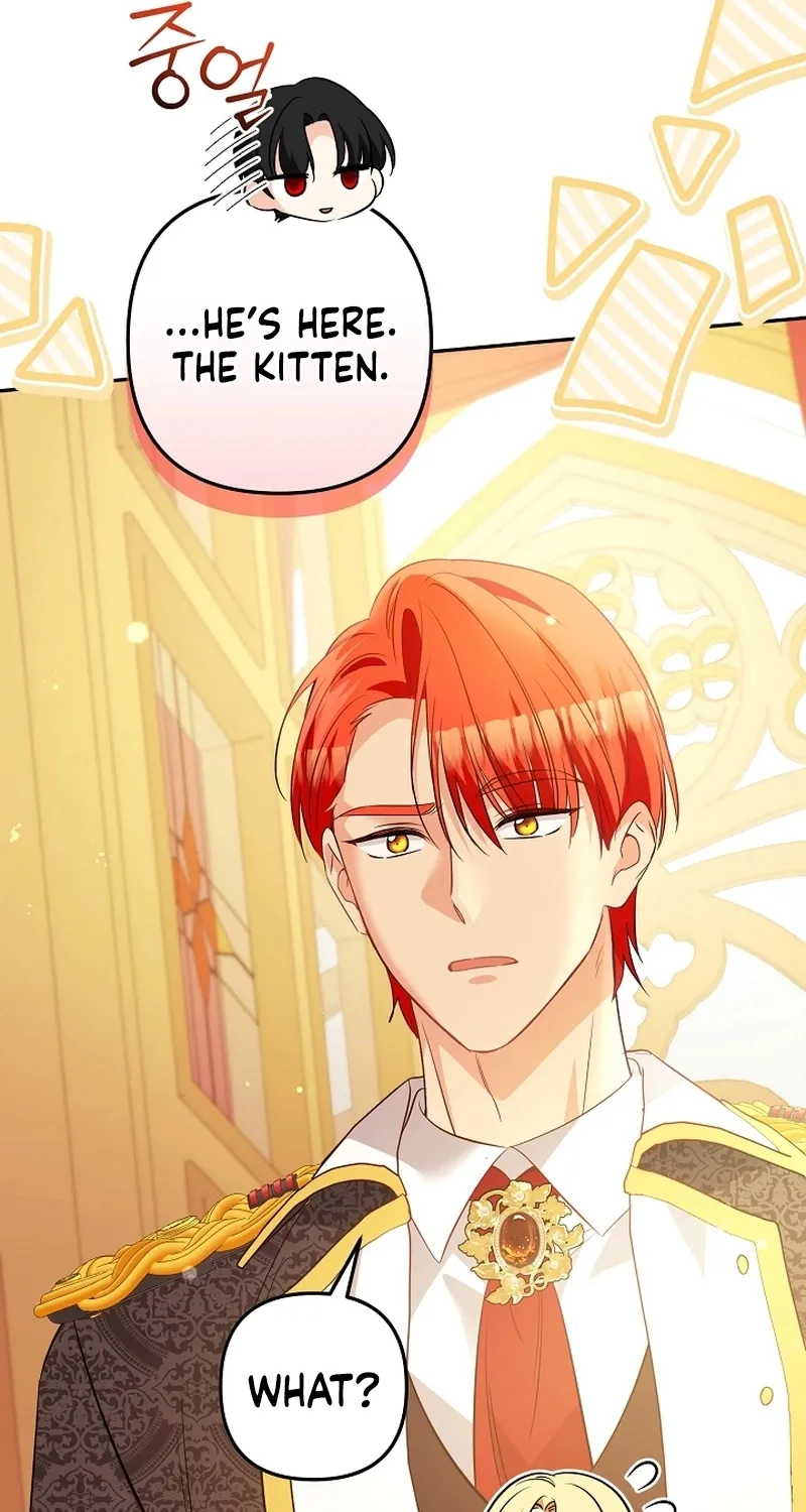 Read Stop Obsessing, Just Divorce Me! chapter 31 image 67 on Lezhin