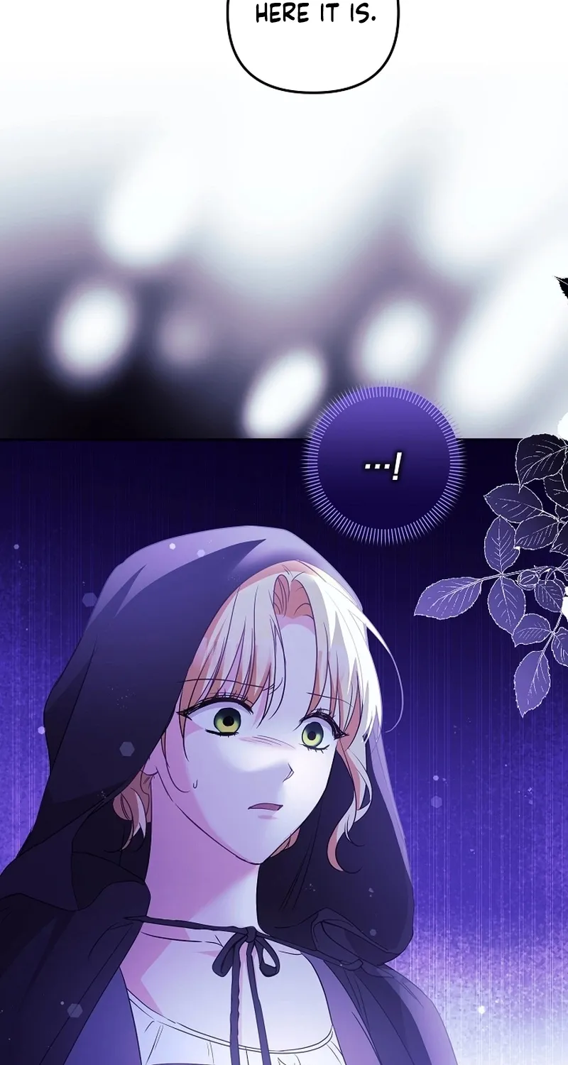 Read Stop Obsessing, Just Divorce Me! chapter 32 image 84 on Lezhin