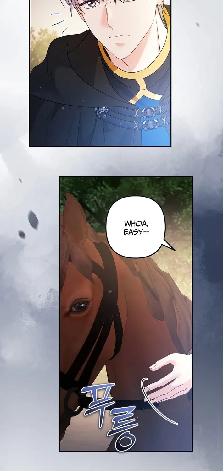 Read Stop Obsessing, Just Divorce Me! chapter 37 image 40 on Lezhin