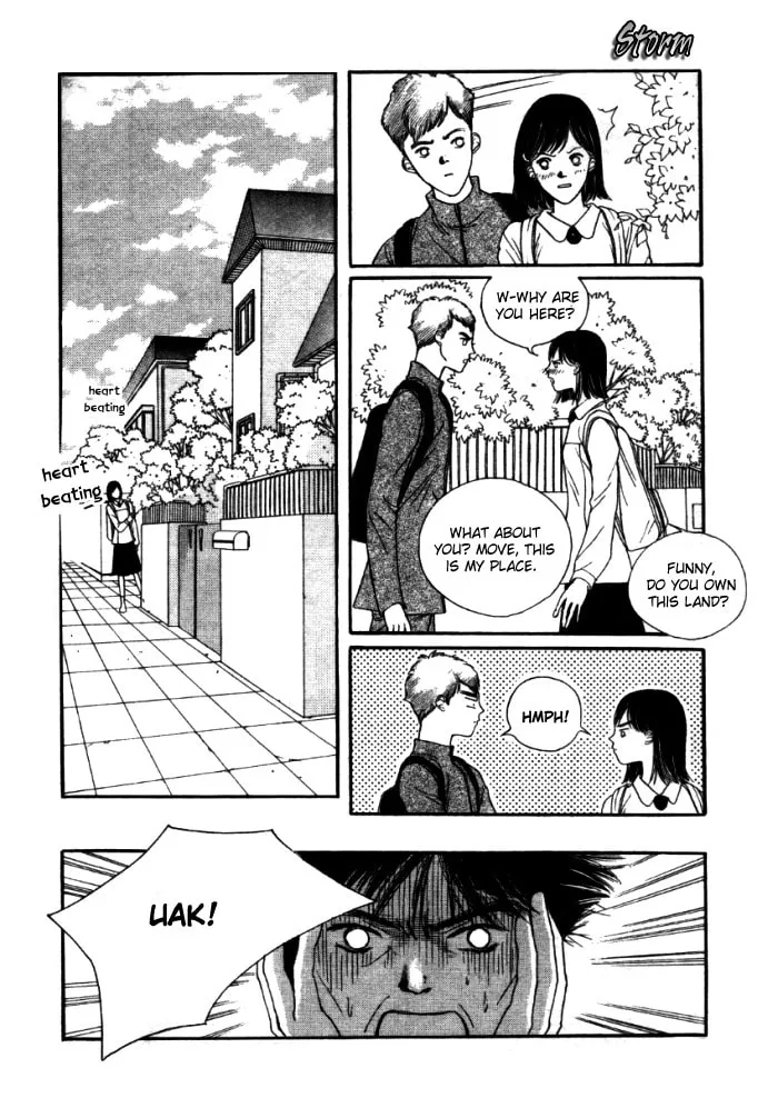 Read Storm chapter 1 image 13 on Lezhin