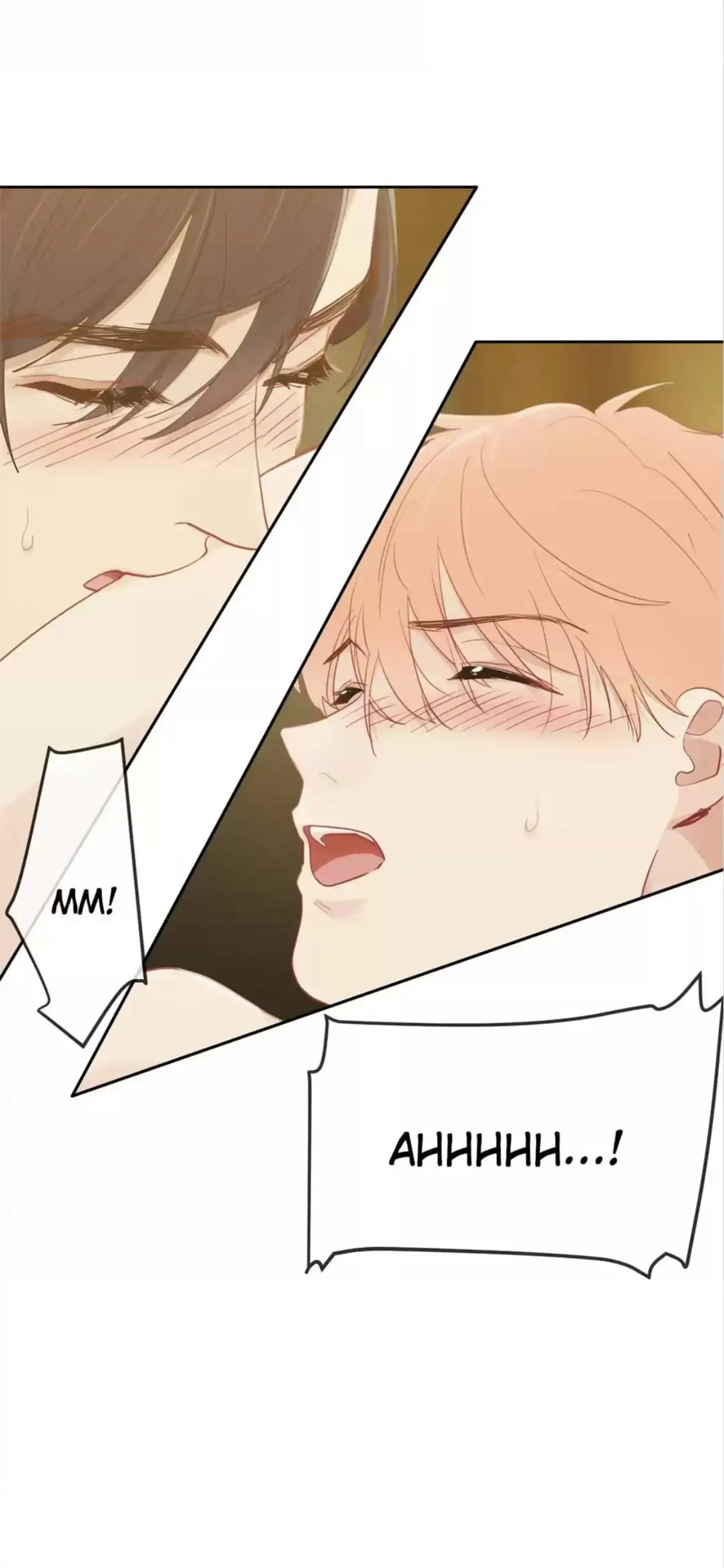Read Straight or Not chapter 167 image 14 on Lezhin