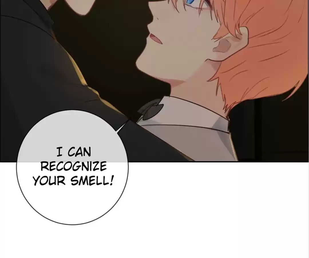 Read Straight or Not chapter 228 image 61 on Lezhin