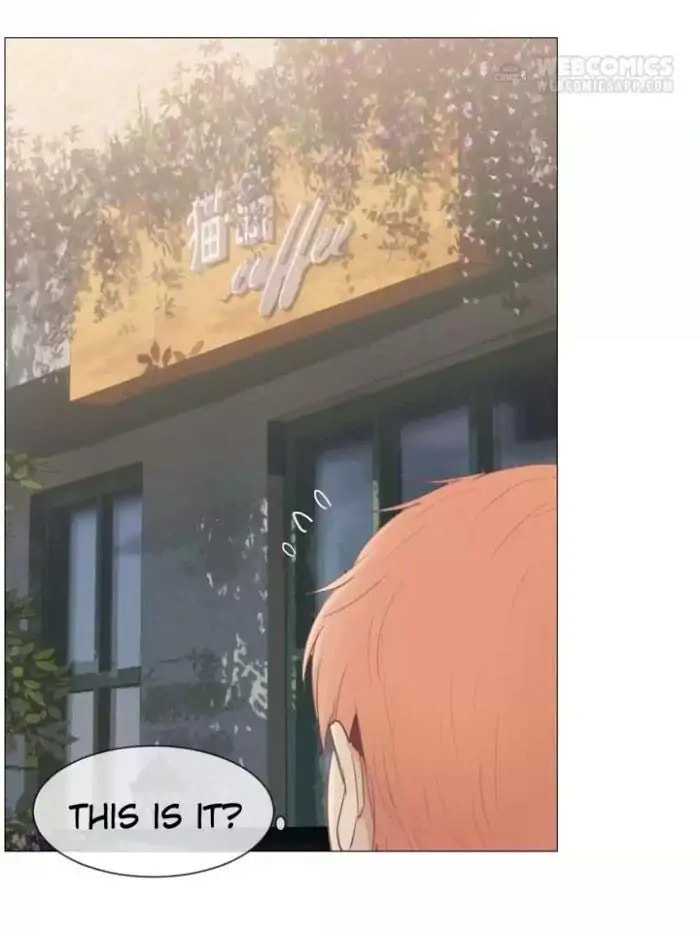 Read Straight or Not chapter 81 image 1 on Lezhin
