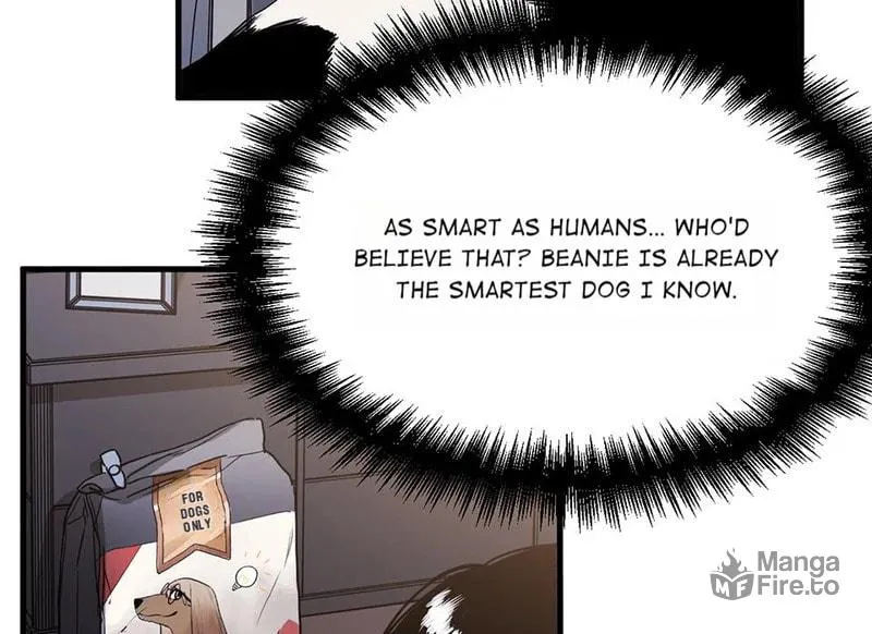 Read Strange Store (Colored) chapter 75 image 152 on Lezhin