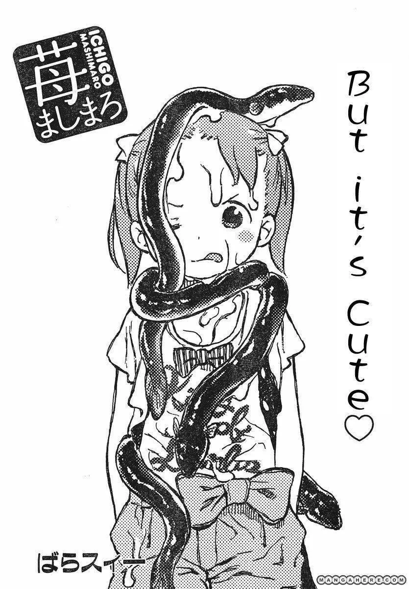 Read Strawberry Marshmallow chapter 65.1 image 1 on Lezhin