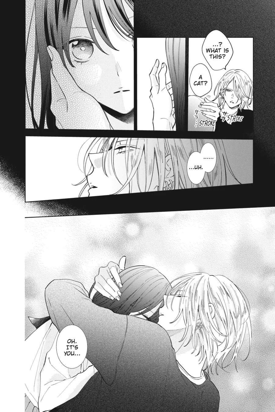 Read Stray Cat and Wolf chapter 11 image 13 on Lezhin