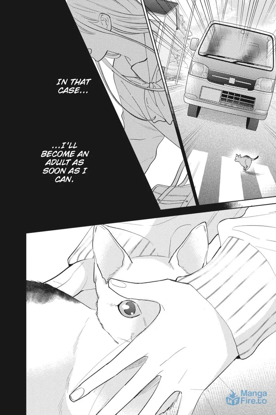 Read Stray Cat and Wolf chapter 12 image 17 on Lezhin