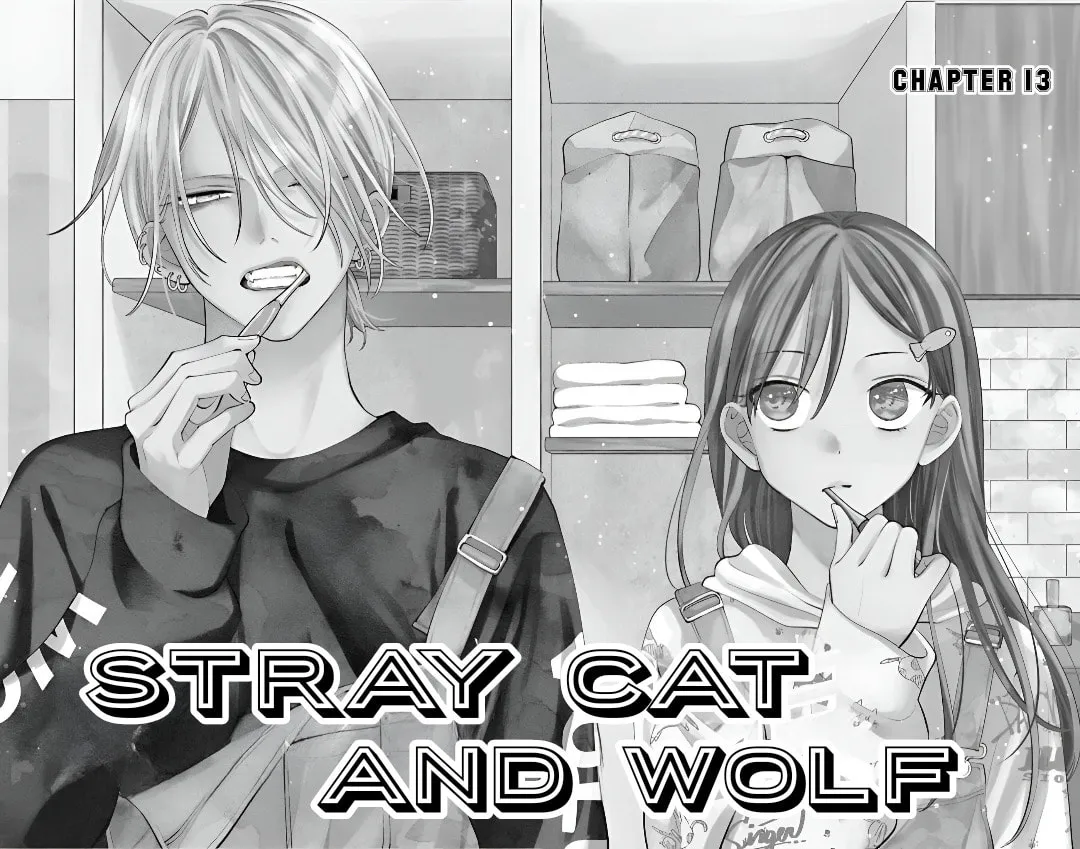 Read Stray Cat and Wolf chapter 13 image 8 on Lezhin